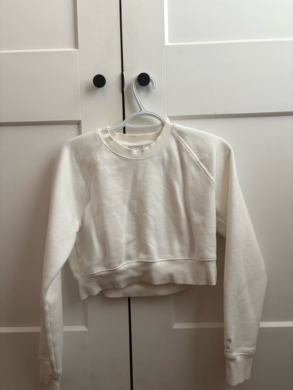 Aritzia Cropped Crewneck Sweatshirt